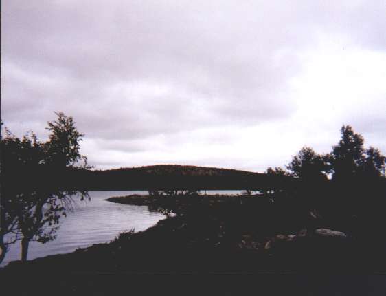 Boktjärn